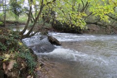 2.-Wellisford-Manor-Weir-3