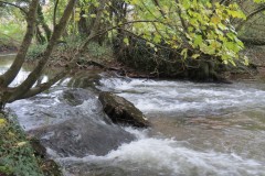2.-Wellisford-Manor-Weir-4