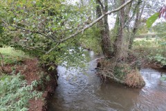 22.-Downstream-from-Wellisford-Manor-Bridge