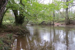 27-Downstream-from-Wellisford-10