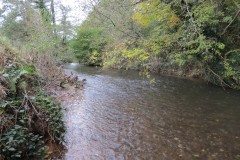 27-Downstream-from-Wellisford-12