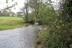 27-Downstream-from-Wellisford-4