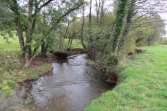27-Downstream-from-Wellisford-5