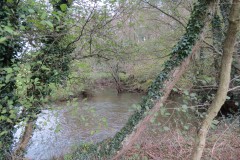 27-Downstream-from-Wellisford-8