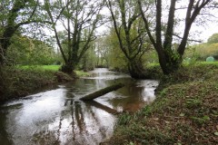 27-Downstream-from-Wellisford-9