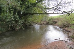 28.-Upstream-from-Harpford-1