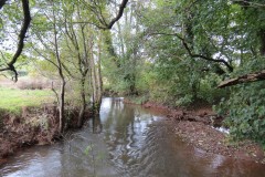 28.-Upstream-from-Harpford-3