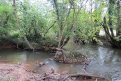 29.-Harpford-Mill-weir-remains-query-1