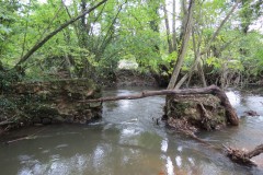 29.-Harpford-Mill-weir-remains-query-2