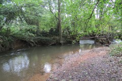 29.-Harpford-Mill-weir-remains-query-3