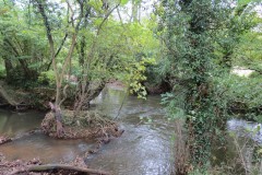 29.-Harpford-Mill-weir-remains-query-4