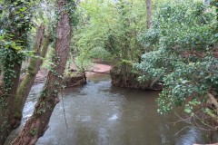 29.-Harpford-Mill-weir-remains-query-5