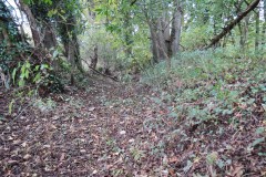 3.-Wellisford-Manor-Leat-1