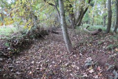 3.-Wellisford-Manor-Leat-3