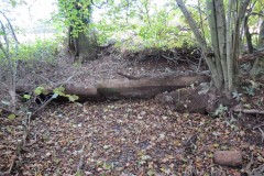 3.-Wellisford-Manor-Leat-4