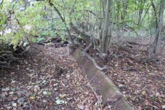 3.-Wellisford-Manor-Leat-5