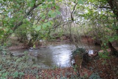30.-Upstream-from-Harpford-5