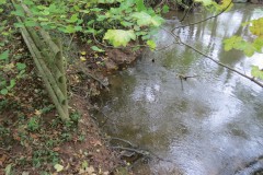 4.-Downstream-from-Wellisford-Manor-Weir-1