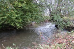 4.-Downstream-from-Wellisford-Manor-Weir-10