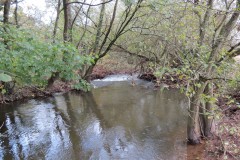 4.-Downstream-from-Wellisford-Manor-Weir-11