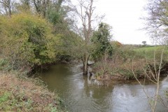 4.-Downstream-from-Wellisford-Manor-Weir-13