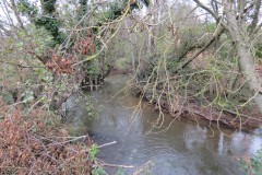 4.-Downstream-from-Wellisford-Manor-Weir-2