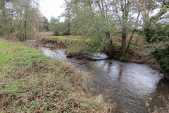 4.-Downstream-from-Wellisford-Manor-Weir-4