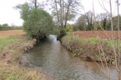 4.-Downstream-from-Wellisford-Manor-Weir-5