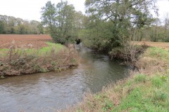4.-Downstream-from-Wellisford-Manor-Weir-6