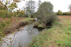 4.-Downstream-from-Wellisford-Manor-Weir-7