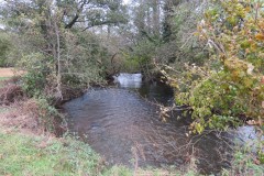 4.-Downstream-from-Wellisford-Manor-Weir-8