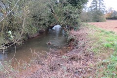 4.-Downstream-from-Wellisford-Manor-Weir-9