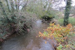 8.-Looking-downstream-from-Wellisford-Manor-Farm-accommodation-bridge