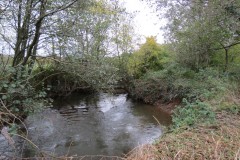 9.-Downstream-from-Wellisford-Manor-Farm-accommodation-bridge-1