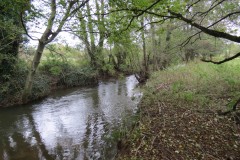 9.-Downstream-from-Wellisford-Manor-Farm-accommodation-bridge-10