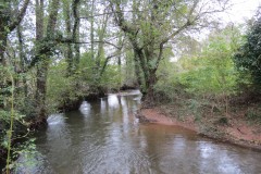 9.-Downstream-from-Wellisford-Manor-Farm-accommodation-bridge-11