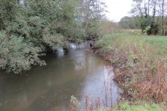 9.-Downstream-from-Wellisford-Manor-Farm-accommodation-bridge-2