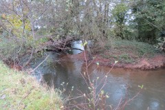 9.-Downstream-from-Wellisford-Manor-Farm-accommodation-bridge-3