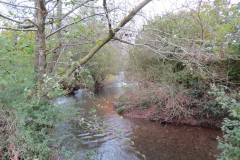 9.-Downstream-from-Wellisford-Manor-Farm-accommodation-bridge-4