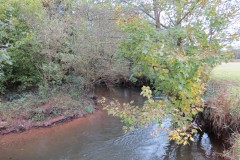 9.-Downstream-from-Wellisford-Manor-Farm-accommodation-bridge-5