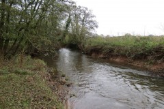 9.-Downstream-from-Wellisford-Manor-Farm-accommodation-bridge-6