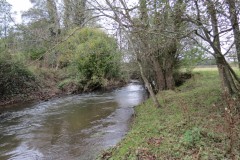 9.-Downstream-from-Wellisford-Manor-Farm-accommodation-bridge-7
