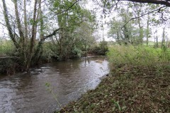 9.-Downstream-from-Wellisford-Manor-Farm-accommodation-bridge-8