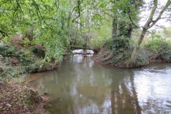 9.-Downstream-from-Wellisford-Manor-Farm-accommodation-bridge-9