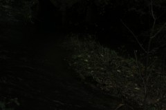 9a.-Wellisford-Manor-Farm-Bridge