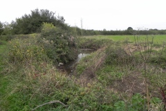 13.-River-View-near-Babcary-Meadows