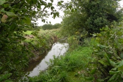 14.-River-View-near-Babcary-Meadows
