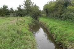 15a.-Looking-upstream-from-Babcary-Meadows-ROW-Bridge-2491