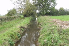 19.-Looking-downstream-from-Babcary-Medows-ROW-Bridge-2490