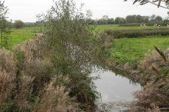 28.-Looking-upstream-from-Garston-Bridge